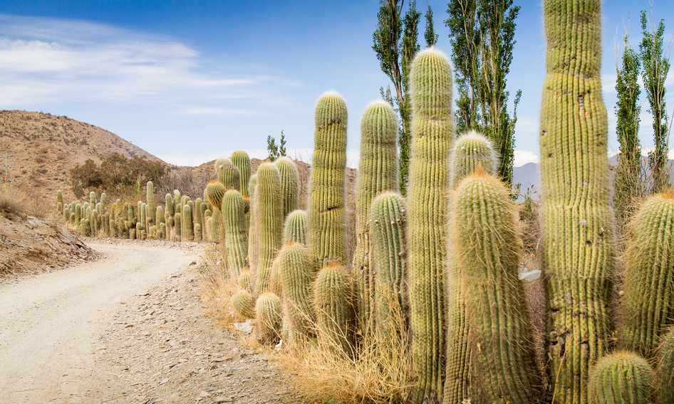 Los mejores itinerarios de viaje de Salta y Jujuy